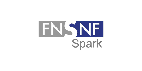 FNSNF Spark