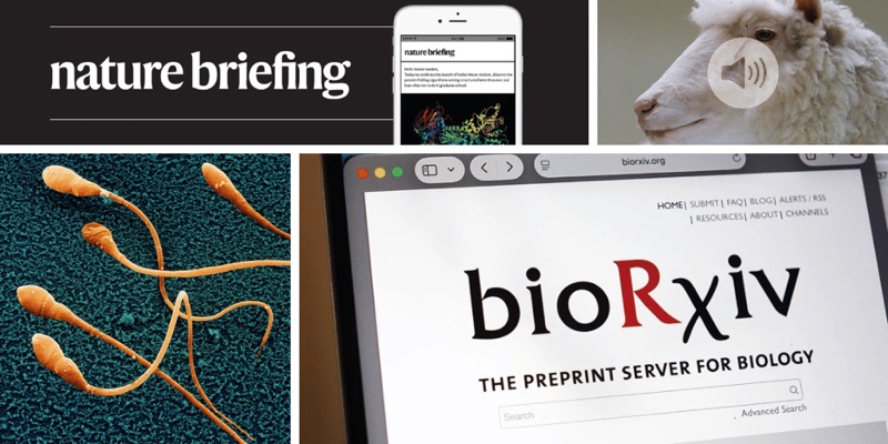 Nature Briefing preview: Daily briefing: The rise of evidence-based medicine