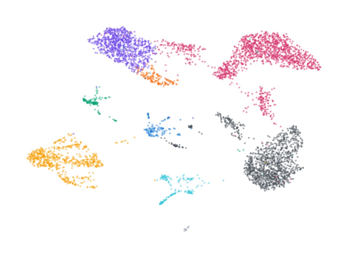 UMAP of brain vascular and perivascular cell types